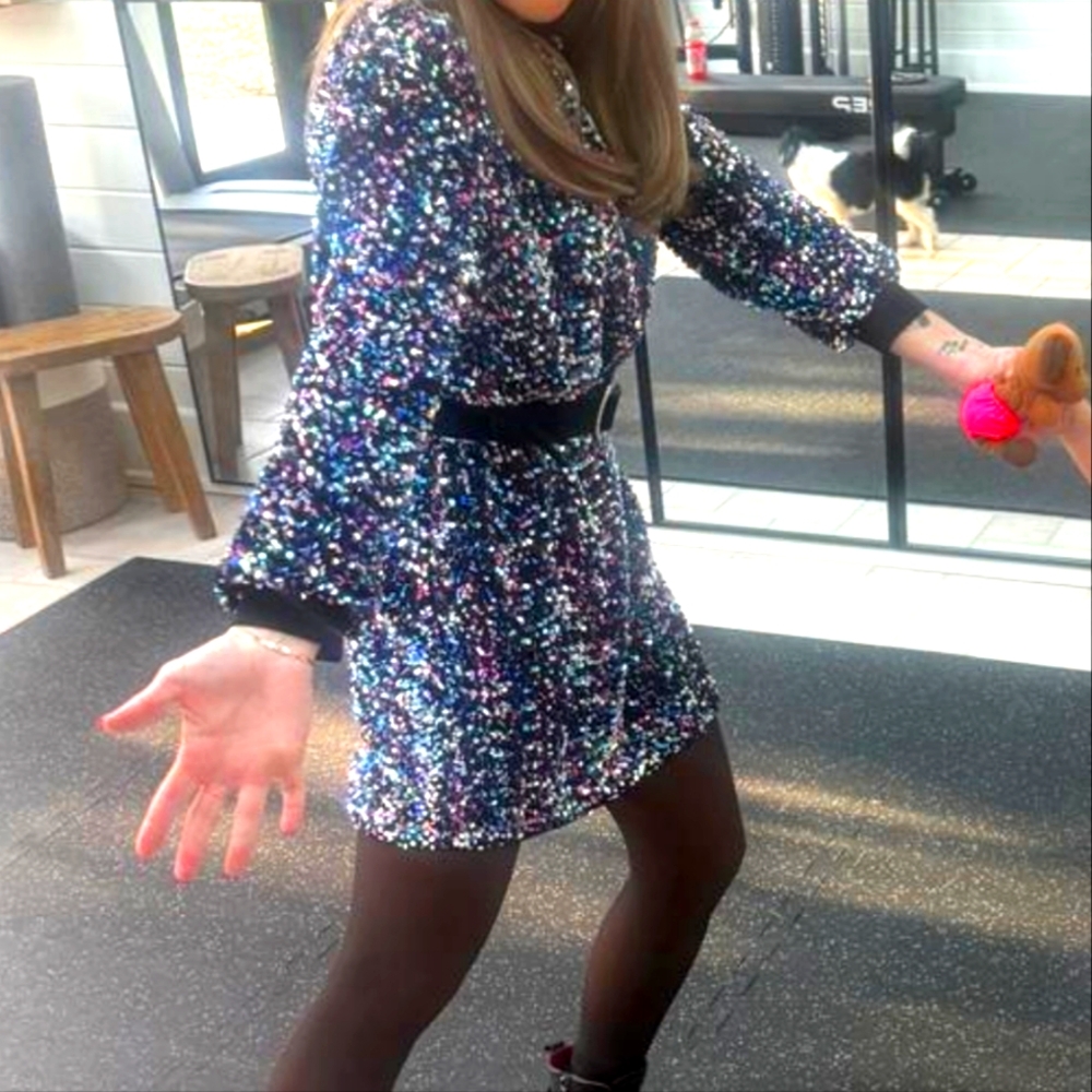 NEW Anthropologie Long-Sleeved & Lined Sequin Tunic Dress - Picture 8 of 9